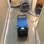 Mold Remediation