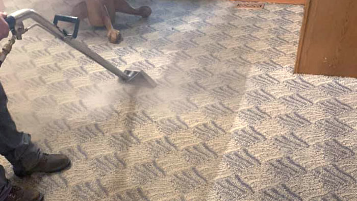 Carpet Cleaning Michigan